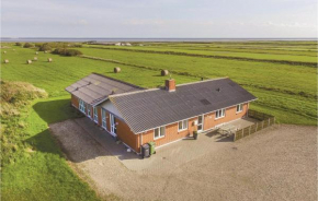 Cozy Home In Ringkøbing With Sauna
